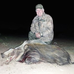 Bushpig Hunt Eastern Cape South Africa