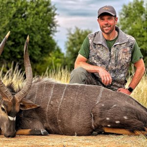 Nyala Hunt South Africa