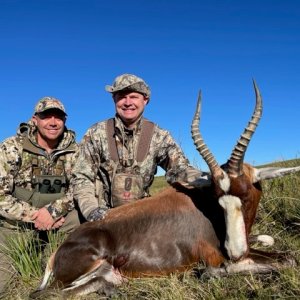 Blesbok Hunt South Africa