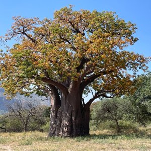 Waterberg Mountains South Africa