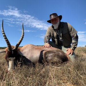 Blesbok Hunting South Africa