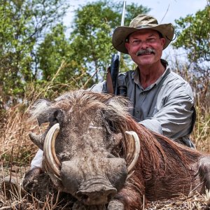 Warthog Hunt Chad