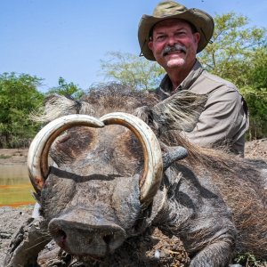 Warthog Hunt Chad