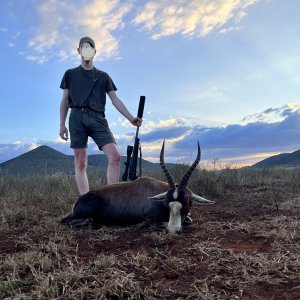 Blesbok Hunt South Africa