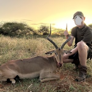 Impala Hunt South Africa