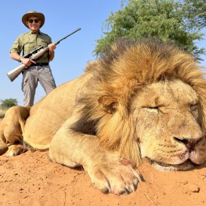 Lion Hunt South Africa