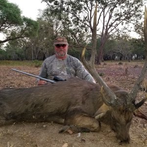 Nice trophy Javan Rusa Deer guided by Karl Goodhand