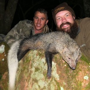 White Tailed Mongoose Hunting South Africa