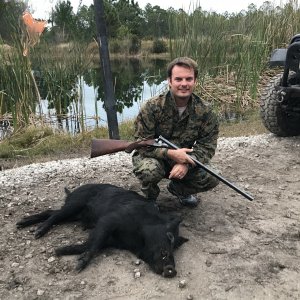 Pig Hunting