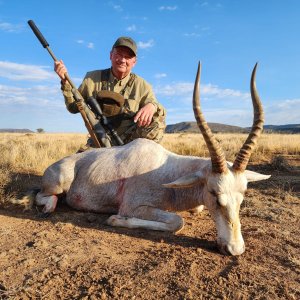 White Blesbok Hunt South Africa