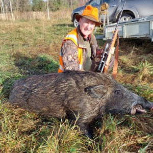 160 Kg Boar Hunt Estonia