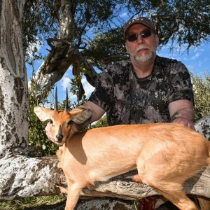 Steenbok Hunt South Africa