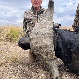 Buffalo Hunt South Africa