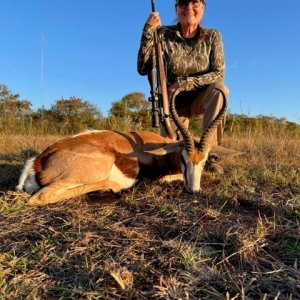 Springbok Hunt South Africa