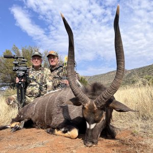 Nyala Bow Hunting South Africa