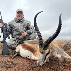 Springbok Hunting South Africa