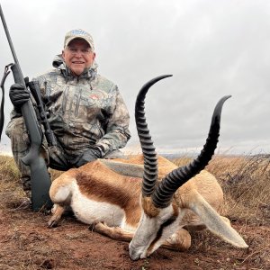 Springbok Hunting South Africa