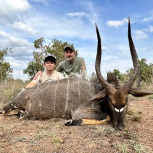 Nyala Hunt South Africa