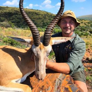 Springbok Hunt South Africa