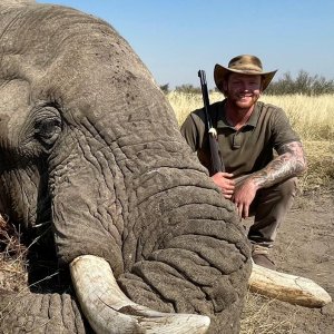 Elephant Hunting Botswana