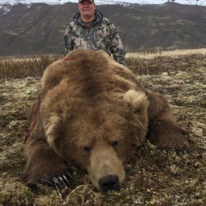 Brown Bear Hunting