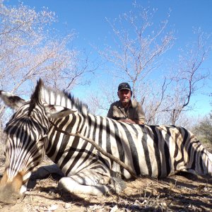 Zebra Hunt Botswana