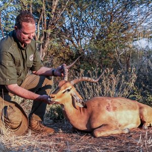 Impala Hunt Angola