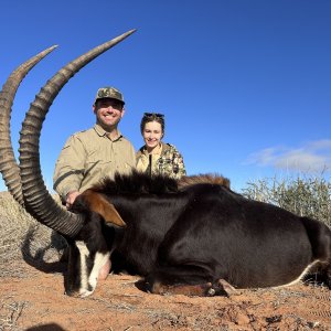 Sable Hunting South Africa