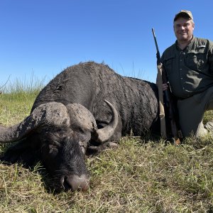 Buffalo Hunting Mozambique