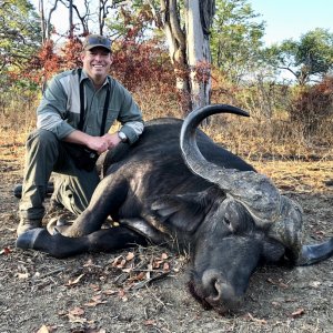 Buffalo Hunting Luangwa Valley Zambia