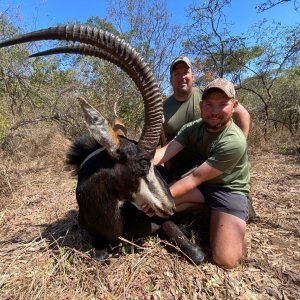 Sable Hunting Zimbabwe