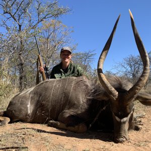 Nyala Hunt South Africa