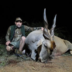 Eland Hunting