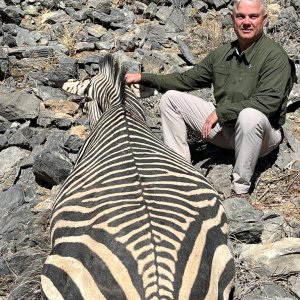 Hartmann's Zebra Hunt Namibia