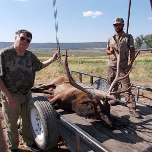 Elk Hunting