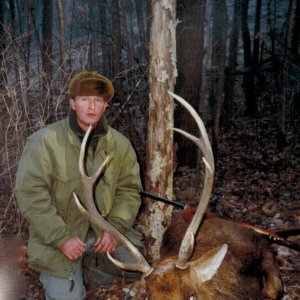 Sika deer 1994 Heilongjiang/China