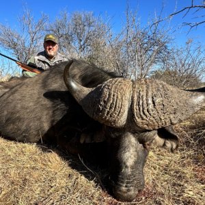 Buffalo Hunt South Africa | AfricaHunting.com