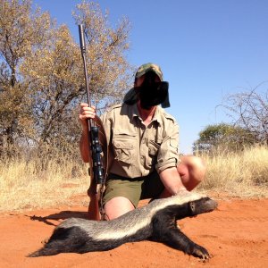 Honey Badger Hunt South Africa