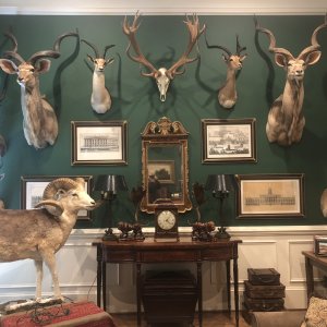 Trophy Room