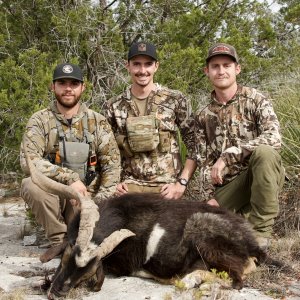 Feral Goat Hunt Texas