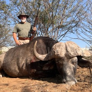 Buffalo Hunt South Africa