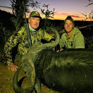 Buffalo Hunt Eastern Cape South Africa