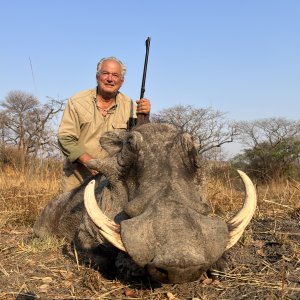 Warthog Hunt Zambia