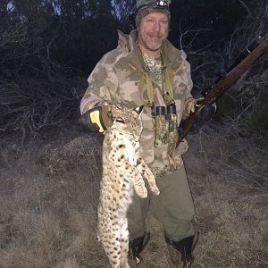 Bobcat Hunting