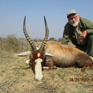 Blesbok Hunt Limpopo South Africa