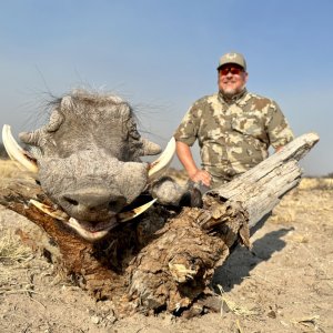 Warthog Hunt South Africa