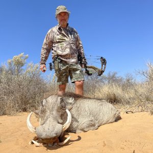 Warthog Bow Hunting South Africa