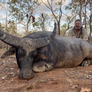 Water Buffalo Hunt Northern Territory Australia