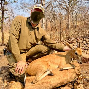 Steenbok Hunt Zambia