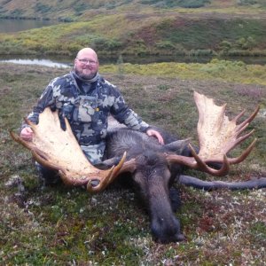 Moose Hunting